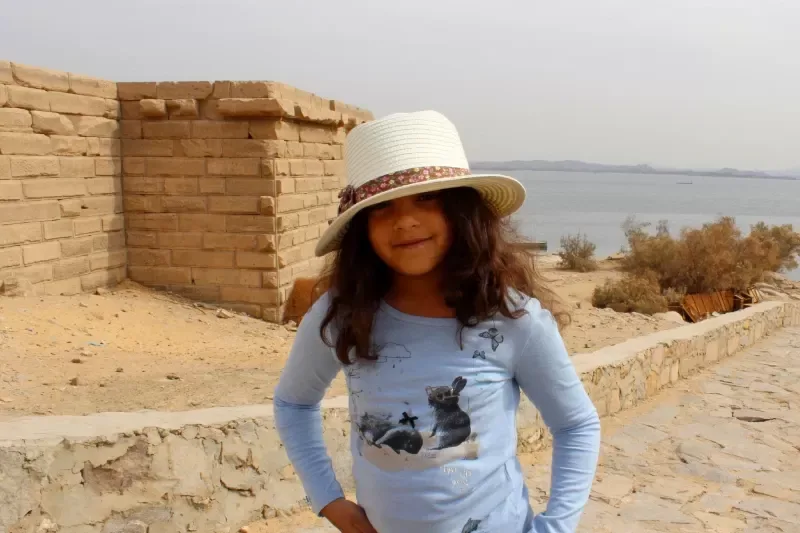 Escursione Assuan: Tempio Kalabsha e Museo Nubiano da Aswan